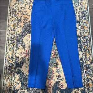 Crown & Ivy Vibrant Blue Cropped Pants